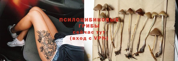 сатива Осинники