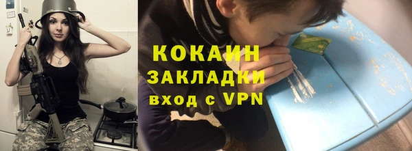 мдпв Пестово