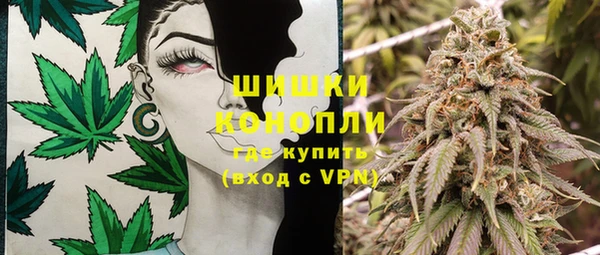 apvp Осташков