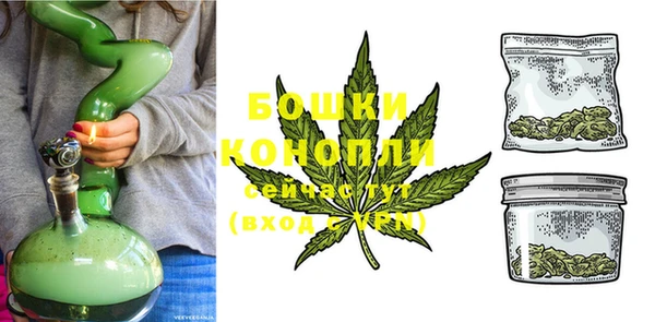 сатива Осинники