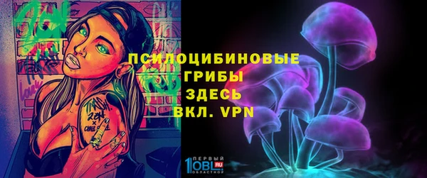 сатива Осинники