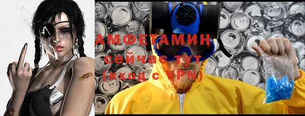мдпв Пестово