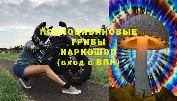 сатива Осинники