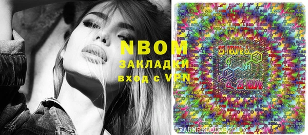 мдпв Пестово