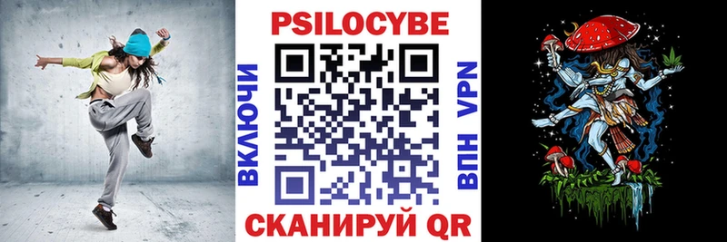Псилоцибиновые грибы Cubensis купить закладку shop официальный сайт Колпашево
